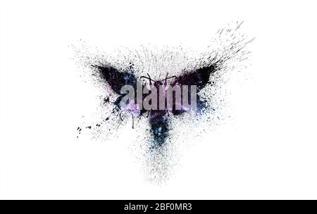 Schöne Schmetterling Silhouette mit bunten Raum Hintergrund innen, Nebel, Sterne und Galaxien mit Farbspritzern, Spritzer und Blots isoliert Stockfoto
