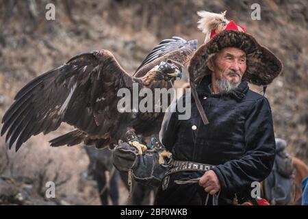 Mongolischer Adlerjäger, Bajan-Oelgii Provinz, Mongolei Stockfoto