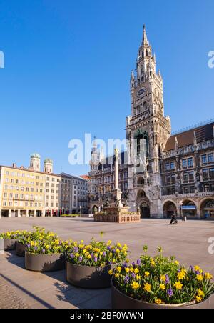 Neues Rathaus, Marienplatz, Altstadt, München, Oberbayern, Bayern, Deutschland Stockfoto