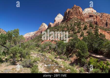 Virgin River durch den Zion National Park, Utah, USA. Stockfoto