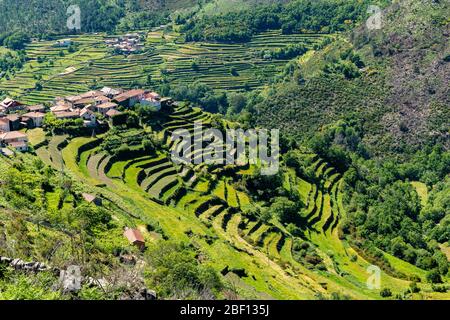 Aussichtspunkt der Terrassen (Miradouro dos Soccalcos), mit Blick auf die Landwirtschaftlichen Terrassen (berühmte Tibeter Stil Landschaft Blick), Porta Cova Place, Sist Stockfoto