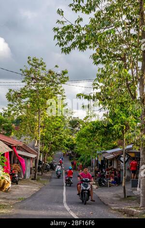 Vertikale Straßenansicht des Petulu Heron Village in Bali, Indonesien. Stockfoto