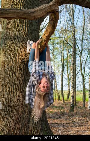 Junge Frau hängt kopfüber von einem Ast eines großen Baumes. Standort: Deutschland, Nordrhein-Westfalen, Hoxfeld Stockfoto