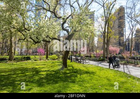 Der Frühling ist schön im Madison Square Park, NYC, USA Stockfoto