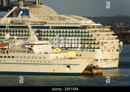 Kreuzfahrtschiffe am Cristobal Pier, Colon City, Panama, Zentralamerika Stockfoto