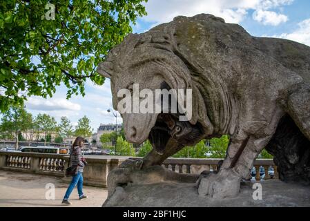 Löwenstatue, die auf eine Person dröhnt, die vorbei geht, Park des Louvre-Palastes, Paris/Europa Stockfoto