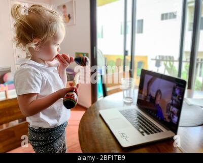 Nettes 21 Monate altes Kleinkind Mädchen nimmt ihre Musik-Klasse von zu Hause über Zoom während der Quarantäne. Stockfoto