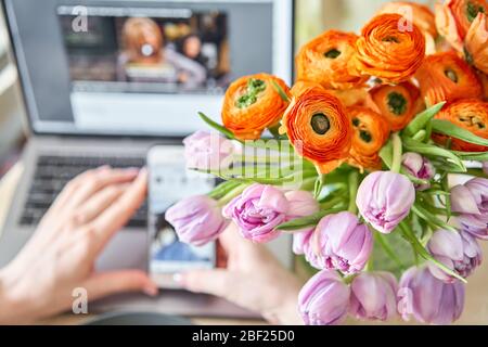 Frühlingskomposition mit lila Tulpen und orangefarbener Butterblume und einer Tasse grünen Tee mit Zitrone, einem offenen Laptop auf einem Holztisch. Konzept für den Aufenthalt zu Hause Stockfoto