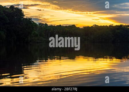 Sonnenuntergang an einer Lagune im Amazonas Regenwald mit Spiegelung des Baumes Canopy, Yasuni Nationalpark, Ecuador. Stockfoto