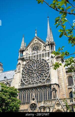 Fenster Rosette des südlichen Querschiffs von außen, Paris/Frankreich Stockfoto