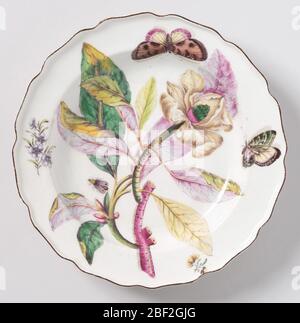 Platte. Eine Platte mit einem gewellten, braunrandigen Rand. Botanische Dekoration einer Magnolie. Dickes lila und grünes Stiel mit gelben, grünen und violetten Lanceatblättern. Große Blüte mit gelblichen Lockenblättern und kegelförmigem lila und grünem Stempel. Stockfoto