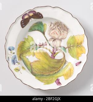 Botanisch. Eine Platte mit einem gewellten, braunrandigen Rand, der mit Tulpenbaum (Liriodendron)-Blüten und Blättern und verschiedenen Insekten bemalt ist. Stockfoto