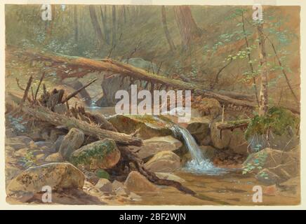Pool im Wald. Ein Bach im Wald, über den ein großer Baum gefallen ist. Felsen im Vordergrund, links und rechts, mit einem kleinen Wasserfall dazwischen. Diese Szene ist wahrscheinlich in den White Mountains, New Hampshire. Stockfoto