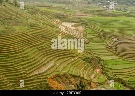 Reisterrassen vom Aussichtspunkt Cao Pha Village in Mu Cang Chai, Vietnam Stockfoto