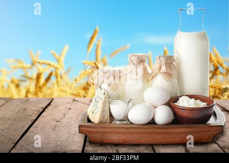 Verschiedene Milchprodukte auf Holztisch im Weizenfeld Stockfoto
