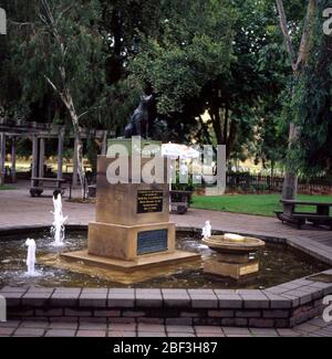 Der Hund auf dem TUCCURBOX DENKMAL, SCHLANGE GULLY, 5 Meilen von GUNDAGAI, New South Wales, Australien. Stockfoto