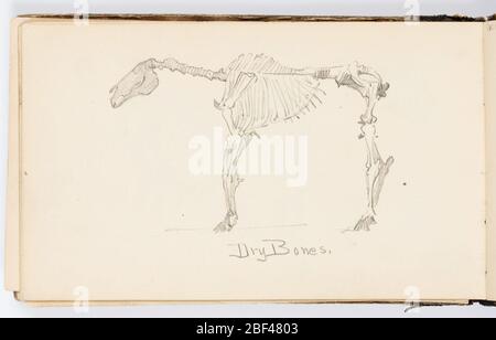 Skizzenbuch Seite Trockene Knochen. Skizze des Skeletts eines Pferdes, ohne Schwanz. Stockfoto