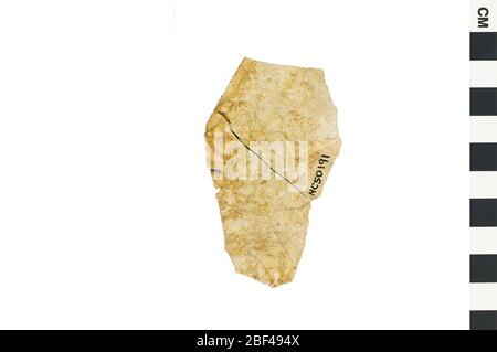 Eiche. Dieses Objekt ist Teil der Sammlung Bildung und Öffentlichkeitsarbeit, von denen einige im Wissenschaftsbildungszentrum Q?rius zu sehen sind.114 Jan 2020 Stockfoto