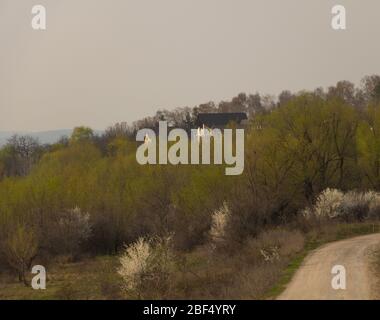 Ein schönes Dorf am Rande und einige Bäume im Frühjahr. Stockfoto