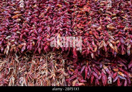 Getrocknete Paprika im Mercado dos Lavradores, Funchal, Madeira, Portugal Stockfoto