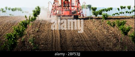 Traktor sprüht Insektizid in Kirschgarten im Frühjahr Landwirtschaft Stockfoto