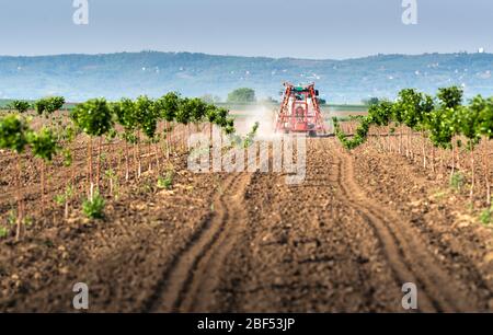 Traktor sprüht Insektizid in Kirschgarten im Frühjahr Landwirtschaft Stockfoto