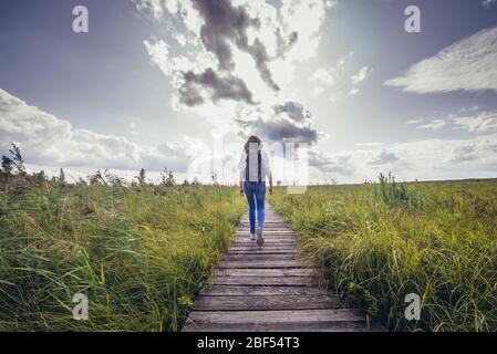 Tourist auf Dluga Luka - Long Gap Holzweg durch Lawki Fen in Richtung zu einer Aussichtsplattform im Biebrza Nationalpark, Polen Stockfoto