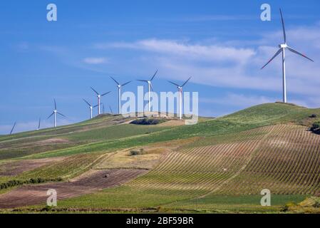 Windkraftanlagen auf einem Feld in der Provinz Trapani auf der Insel Sizilien in Italien Stockfoto