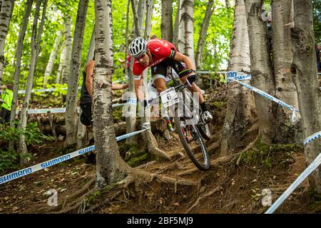 MONT SAINTE ANNE, KANADA - 10. AUGUST 2013. Jaroslav Kulhavy (CZ) Rennen für Team spezialisiert auf die UCI Mountain Bike Cross Country World Cup Stockfoto