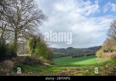 Landstraße in der Nähe von Goggin, Shropshire, England Stockfoto