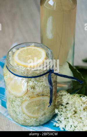 Hausgemachtes Holunderblüten-Sirup mit Zitrone im Glas Stockfoto