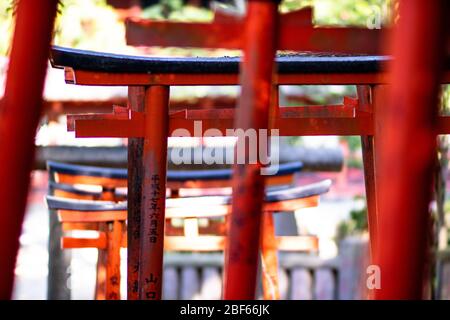 Tokio, Japan - 9 8 2019: Die Reihen der roten Torii-Tories im Nezu-Schrein Stockfoto