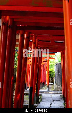 Tokio, Japan - 9 8 2019: Die Reihen der roten Torii-Tories im Nezu-Schrein Stockfoto