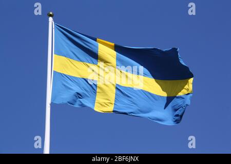 Ein schönes Bild einer schwedischen Flagge. Stockfoto