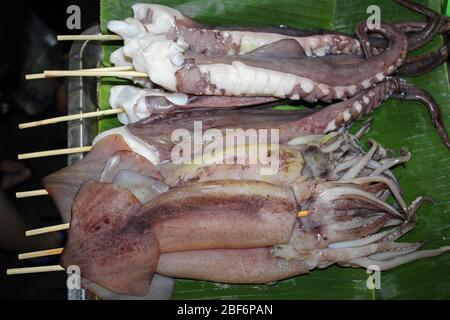 Frische Tentakel (Indian Squid - Loligo duvauceli) auf Spießen, die auf dem Hua hin's Night Market in Thailand gegrillt werden können Stockfoto