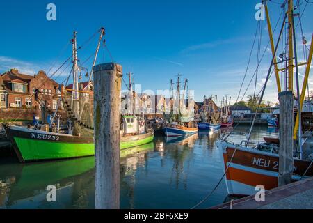 Hafen von Neuharlingersiel, Deutschland, Niedersachsen, Ostfriesland, Neuharlingersiel Stockfoto