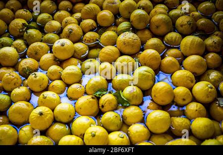 Italien Kalabrien - Bergamotte - Waschen der Früchte Stockfoto