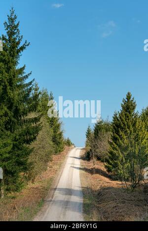 Landschaft mit Gabelung Landstraße im Wald am frühen Frühlingstag. Kopierbereich. Stockfoto