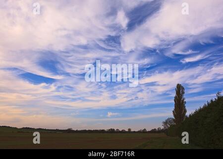 Cirrus Wolken über Lincolnshire Stockfoto