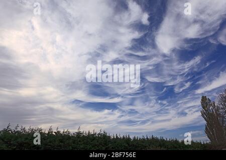 Cirrus Wolken über Lincolnshire Stockfoto