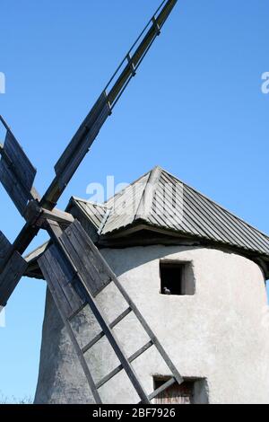 Eine alte Windmühle auf Fårö, Gotland, Schweden. Eine Taube im Fenster. Stockfoto