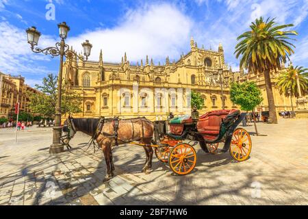 Das spanische Pferd, das vor der Kathedrale von Sevilla, einer römisch-katholischen Kathedrale und der größten gotischen Kirche geparkt ist, ist eine der Sehenswürdigkeiten von Sevilla Stockfoto