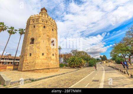 Sevilla, Andalusien, Spanien - 19. April 2016: Goldener Turm oder Torre del Oro mit Palmen, einem mittelalterlichen Militärturm und Menschen, die mit dem Rad fahren Stockfoto