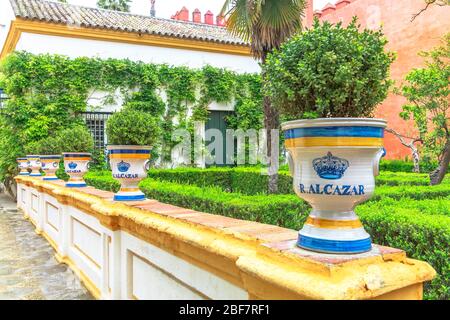 Sevilla, Andalusien, Spanien - 19. April 2016: Keramikvase in Heckenlabyrinth schmückt den Garten der Königlichen Alcazaren von Sevilla oder des ältesten Reales Alcazares Stockfoto