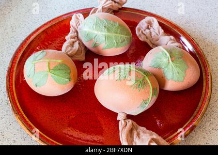 Traditionelle Art der ostereifärbung. Kleine Pflanzenblätter auf Eier mit Strumpf auf rotem Teller gepresst. Sopron, Ungarn. Schritt 1 von 3. Stockfoto