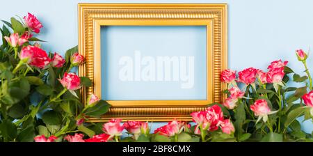 Banner Goldener Rahmen leer leeres Bild umgeben Spray rote Rosen auf blauem Hintergrund. Kopieren Sie Speicherplatz freien Speicherplatz für Text. Konzept der Urlaubskarte. Mock-up Stockfoto