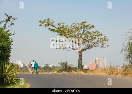 Dakar Küste, Strand und Vegetation. Dakar. Senegal. Westafrika. Stockfoto