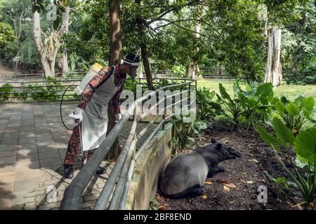 Kuala Lumpur, Malaysia. April 2020. Malaysische Feuerwehr desinfiziert Bereiche des National Zoo in Kuala Lumpur, Malaysia. 17. April 2020. Die malaysische Regierung erließ einen Befehl zur Einschränkung der Bewegung für den Rest des Monats an die Öffentlichkeit, um die Ausbreitung des neuen Coronavirus einzudämmen. (Foto: Zulfadhli Zaki/Pacific Press) Quelle: Pacific Press Agency/Alamy Live News Stockfoto