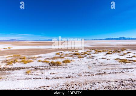 Salinas Grandes entlang der N52, östlich von Susques, Puna, Hochgebirge (3400m) Anden, Argentinien, Lateinamerika Stockfoto