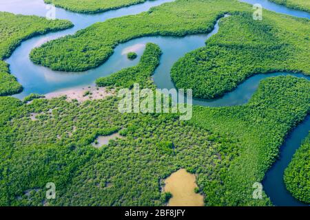 Luftaufnahme des Amazonas-Regenwaldes in Brasilien, Südamerika. Grüner Wald. Vogelperspektive. Stockfoto